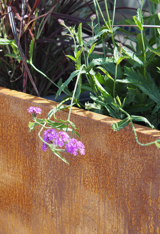 Oxidised Steel Planters