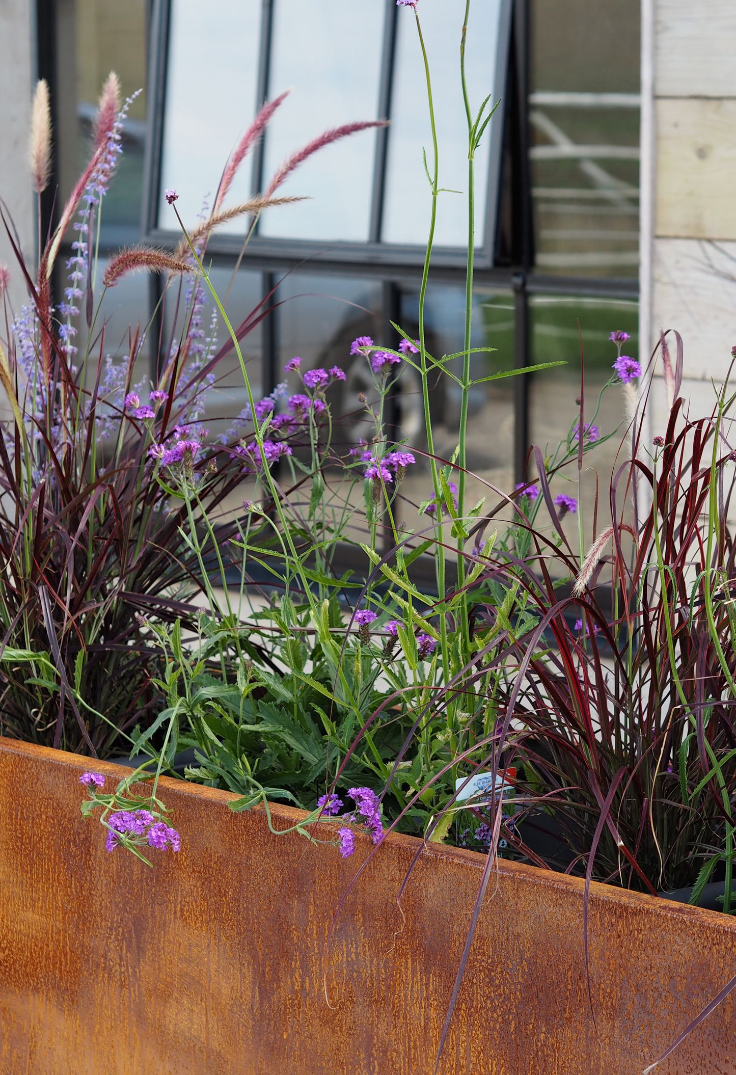 Oxidised Steel Planters