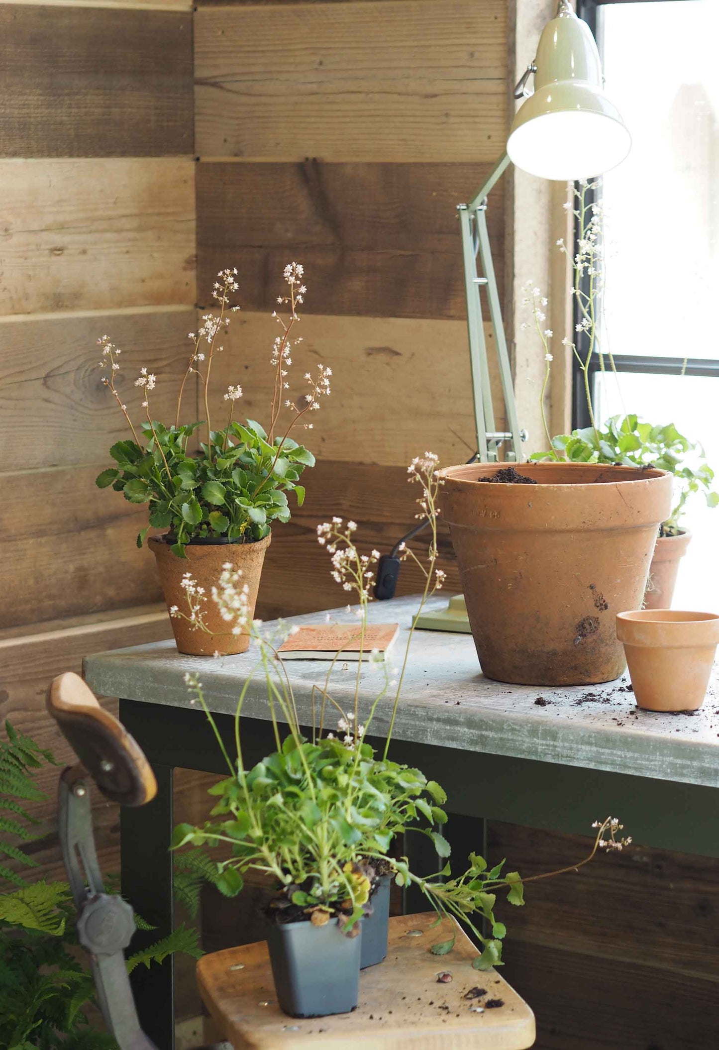 Potting Table