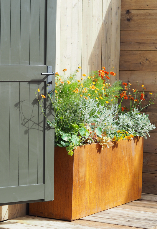 Oxidised Steel Planters
